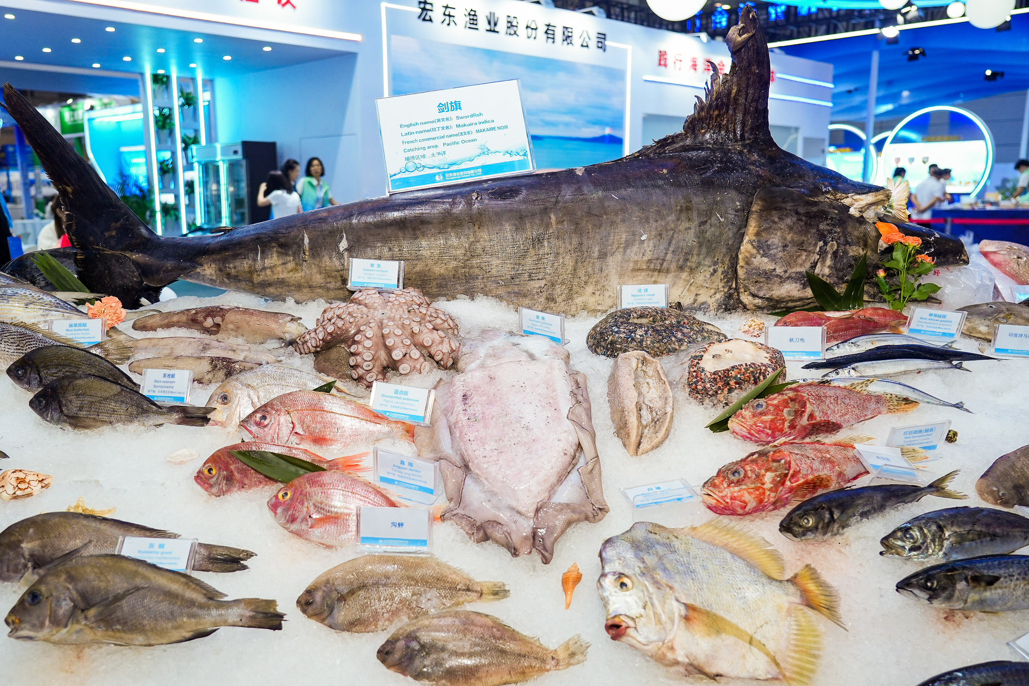 2026福建餐饮食材展门票怎么领
